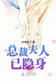 总裁夫人已隐身